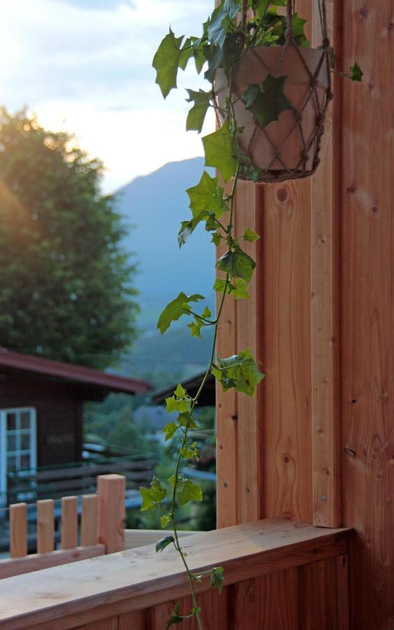 Haus Am Salz Mit Sauna Bad Ischl Exteriér fotografie